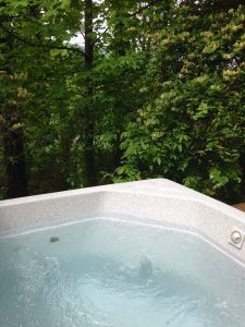 The Pine Hot Tub