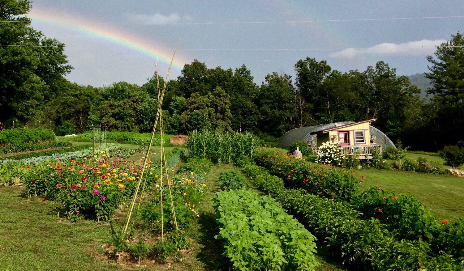 The Farm - Farm Stays Asheville NC | Broadwing Farm Cabins