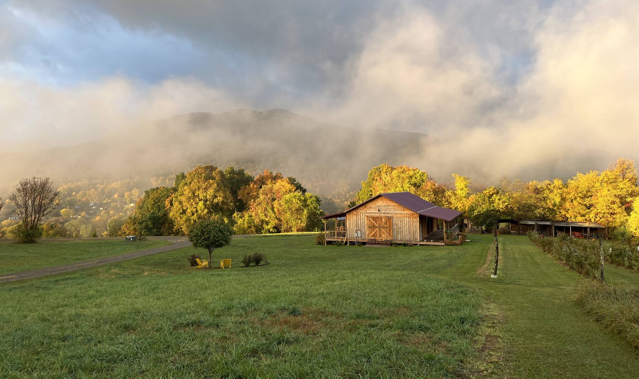 Weddings and Events, Broadwing Farm Cabins, Hot Springs, NC