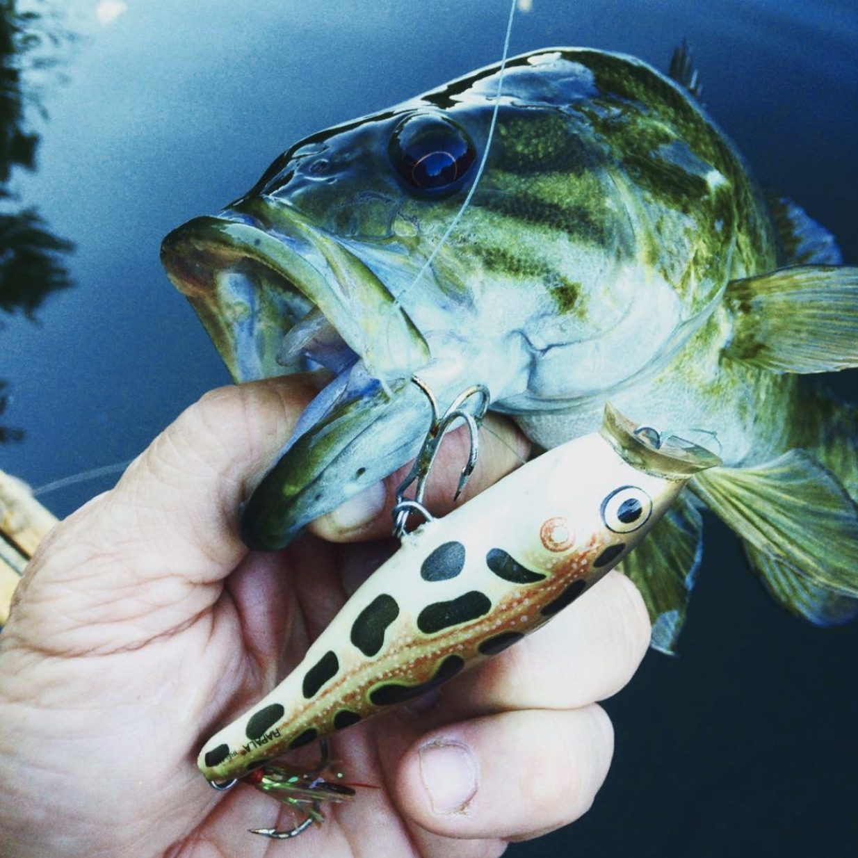 power pro super 8 slick braided fishing line Super8Slick V2 Moss Green – Harpeth River Outfitters Bucket List Vis Aqua Green 40 KastKing Right Baitcasting Reel Spool Length:300 YDS